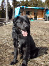 �ꉮ�A�o����Ȃ�