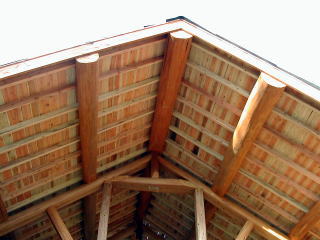 ��n����