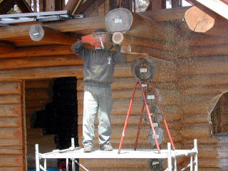 ���O�G���h�̃J�b�g